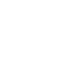Un sito posizionato su Google