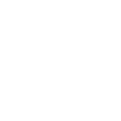 Un sito ottimizzato per fare SEO è: